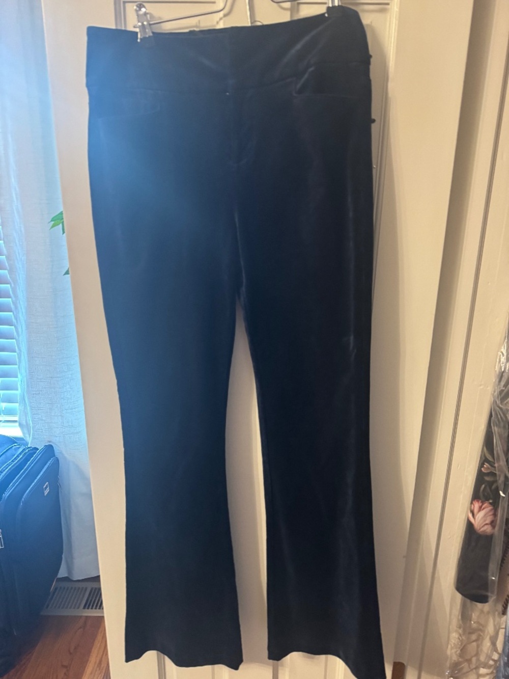 Paige Lou Lou Wide Leg Navy Pant Size 29